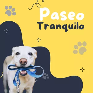 Imagen de portada para Ebook Paseo Tranquilo