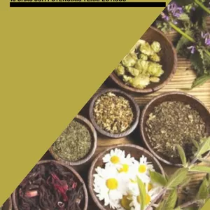 Imagem de capa para o Ebook Chás que Curam - 10 chás com potenciais terapêuticos 