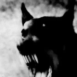 Imagem de capa para o Curso online Aprenda a construir o melhor deck CR