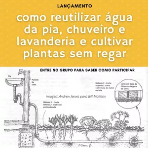 Imagem principal do produto Filtro vivo: como reutilizar águas da pia, chuveiro e lavanderia e cultivar sem regar