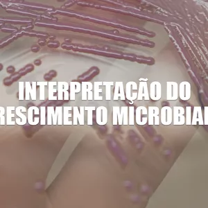 Imagem de capa para o Curso online Interpretação do Crescimento Microbiano