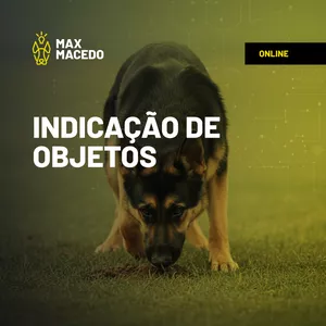 Imagem de capa para o Curso online 02 - Indicação de Objetos 
