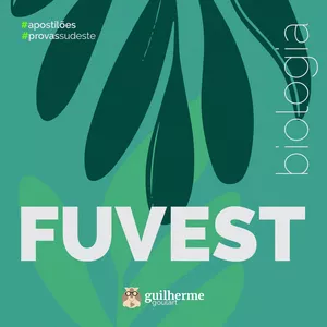 Imagem de capa para o Ebook Apostilão Fuvest 2025