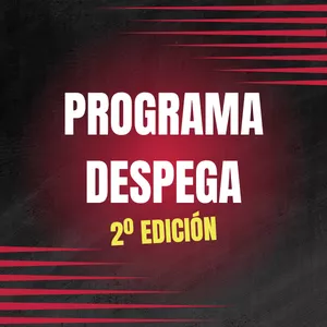 Imagen de portada para Curso online Programa Despega 2º Edición
