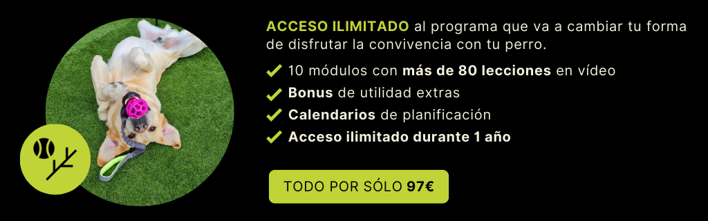 Juegos y Comunicación