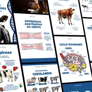 Imagem de capa para o Ebook CANVA REPRODUÇÃO ANIMAL