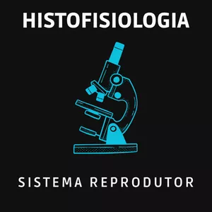 Imagem de capa para o Curso online Histofisiologia do Sistema Reprodutor