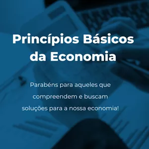 Imagem do curso Princípios da Economia