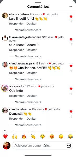 O que as clientes dizem, recomendações e testimonials do Curso Meu Primeiro Zoológico - Modele 25 Animais em Pasta Americana