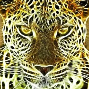 Imagen de portada para Curso online Despierta a tu Chamán Interior