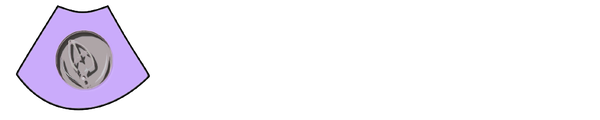 Viable Solutions logo