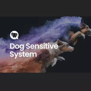 Imagen de portada para Curso online Dog Sensitive System®️ 