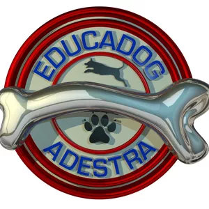 Imagem de capa para o Curso online Educadog Adestra - Educação e adestramento de cães 