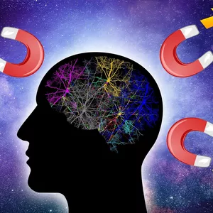 Imagem de capa para o Ebook A Lei da Atração na Bíblia: Encontrando Conexões Espirituais e Filosóficas