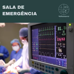 Imagem de capa para o Curso online Sala de Emergência