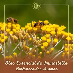Imagem de capa para o Curso online Immortelle - Biblioteca de Aromas