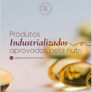Imagem de capa para o Ebook E-book Guia de Produtos Industrializados 