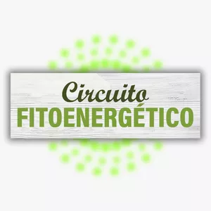 Imagem de capa para o Curso online Circuito Fitoenergético