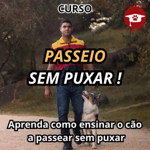 Imagem do curso CURSO: PASSEIO SEM PUXAR!