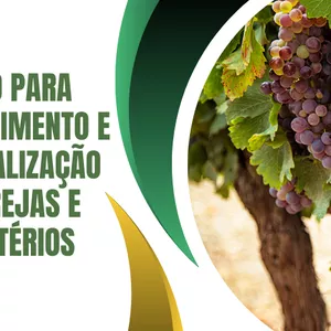 Curso Curso de crescimento e revitalização de igrejas e ministérios