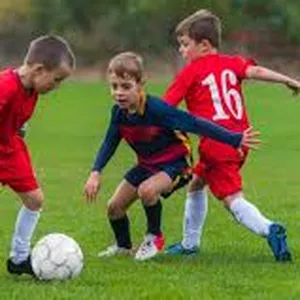Imagen de portada para Curso online PLANIFICACION EN EL FUTBOL INFANTO JUVENIL