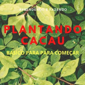 Imagem de capa para o Ebook Plantando Cacau: Basico Para Começar 
