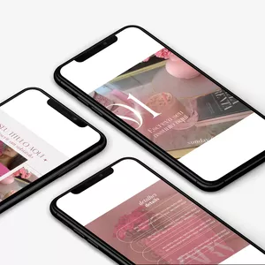 Imagem de capa para o Ebook PACK ROSÉ