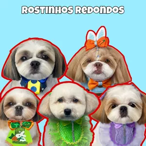 Imagem de capa para o Curso online Rostinho Redondo para Pets