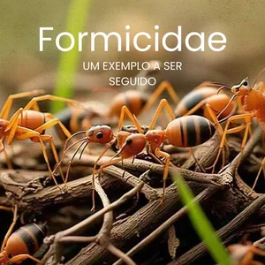 Imagem de capa para o Ebook Formicidae