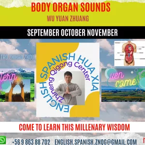 Cover image for Online course LEVEL 3 Wu Yuan Zhuang Seminar Zhineng Qi Gong with master Zhihao Zhou