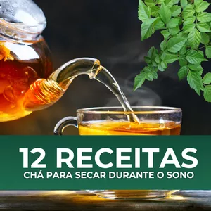 Imagem de capa para o Ebook 12 receitas para secar durante o sono