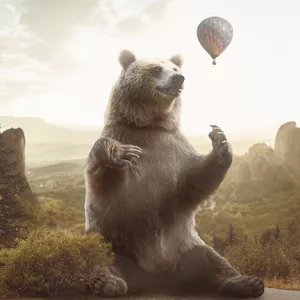 Imagen de portada para Curso online Gran oso en las montañas