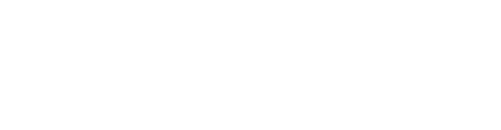 Nurse Advocate Entrepreneur logo