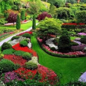 Imagem de capa para o Curso online Jardinagem e Paisagismo