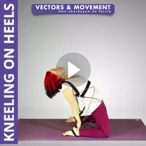 Imagem de capa para o Curso online 02 Vídeo educacional | Back Body Vector