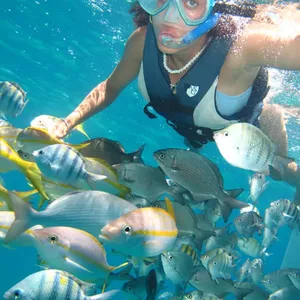 Imagen de portada para Curso online Cubabella