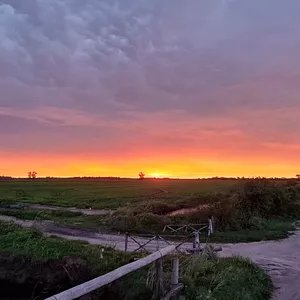 Imagen de portada para Curso online Atardercer 