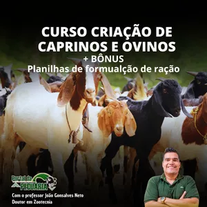 Curso Curso Criação de caprinos e ovinos