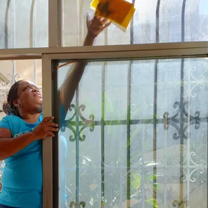 Imagem de capa para o Curso online Mellias - Especialista em Faxina