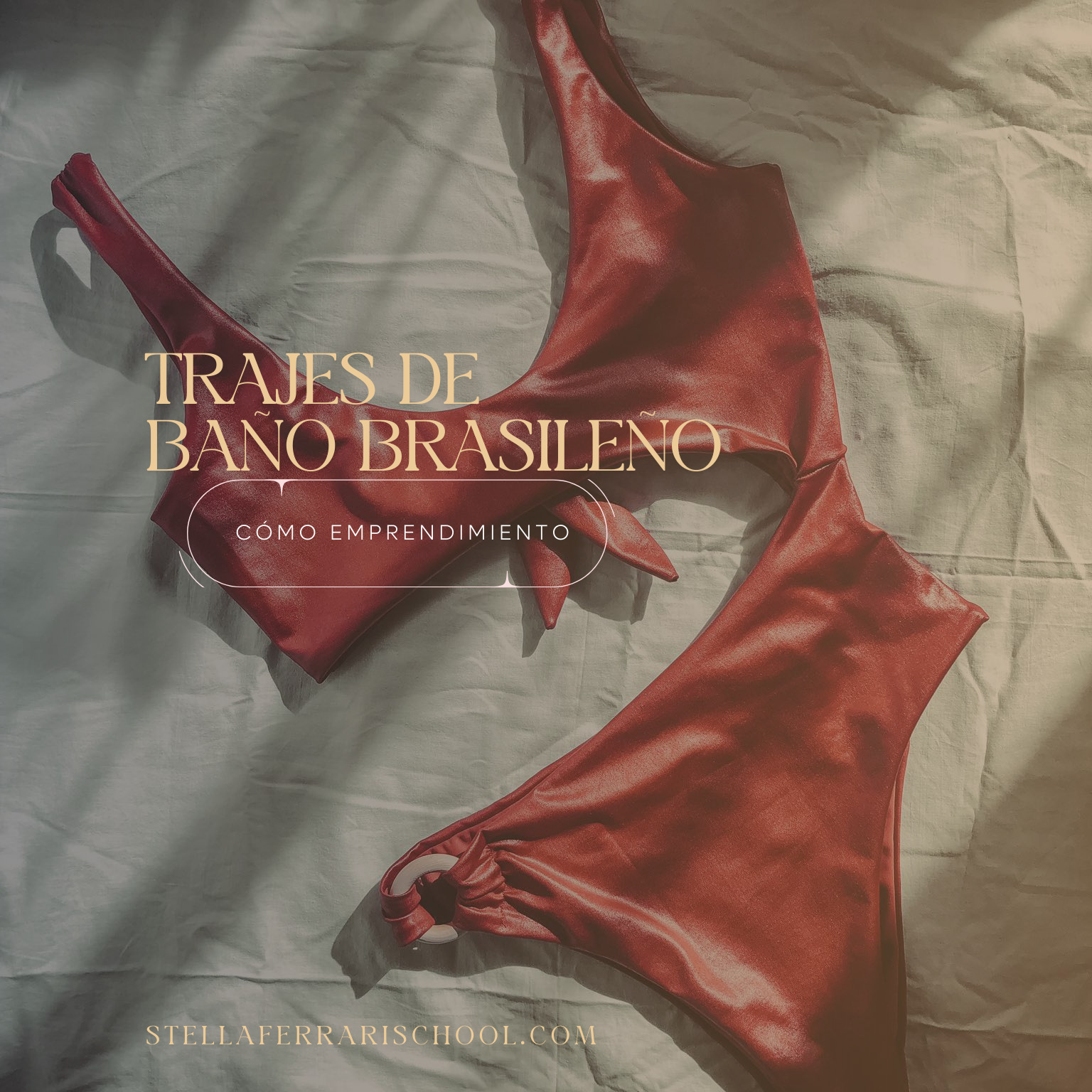 Bikini Brasileño para Emprendimiento