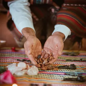 Imagem de capa para o Curso online Conexão Cacau : Mentoria Para Guardiãs e Facilitadores