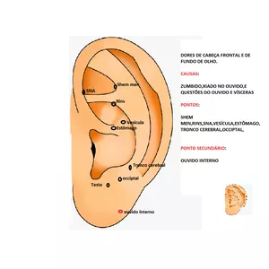Imagem de capa para o Curso online Curso Básico de Auriculoterapia