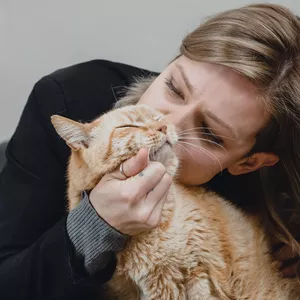 Imagem de capa para o Curso online Gatologia 