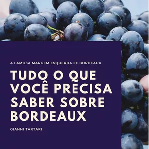 Imagem de capa para o Curso online Tudo O Que Você Precisa Saber Sobre Bordeaux