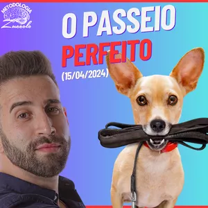 Curso O PASSEIO PERFEITO