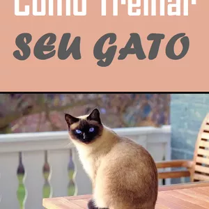 Imagem de capa para o Ebook Como Treinar Seu Gato