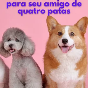 Imagem de Petiscos deliciosos para seu amigo de quatro patas criado por PÁGINAS EMPREENDIMENTOS na hotmart