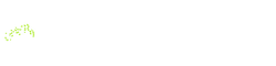 Orbo Novo