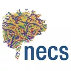 Foto do autor NECS
