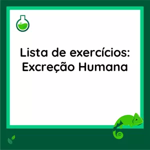 Imagem de capa para o Curso online DISCURSIVA: Excreção Humana